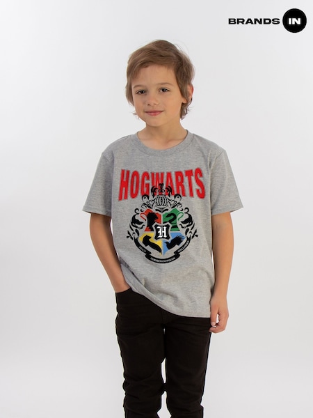 Brands In Grey 100% Cotton Harry Potter Hogwarts Emblem Boys Heather T-Shirt (E12200) | £20