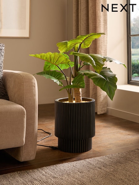 Green Large Artificial Light Up Alocasia Plant (E13879) | £125