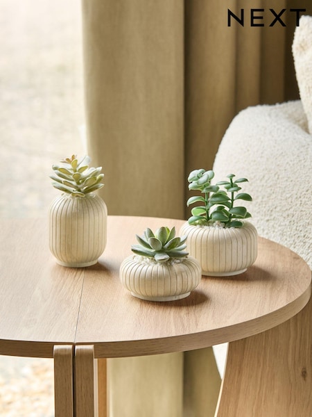 Set of 3 Green Succulents In Ribbed Plant Pots (E14378) | £21