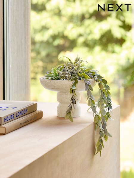Green Succulent and Trailing Mix in Stone Bowl (E14382) | £32