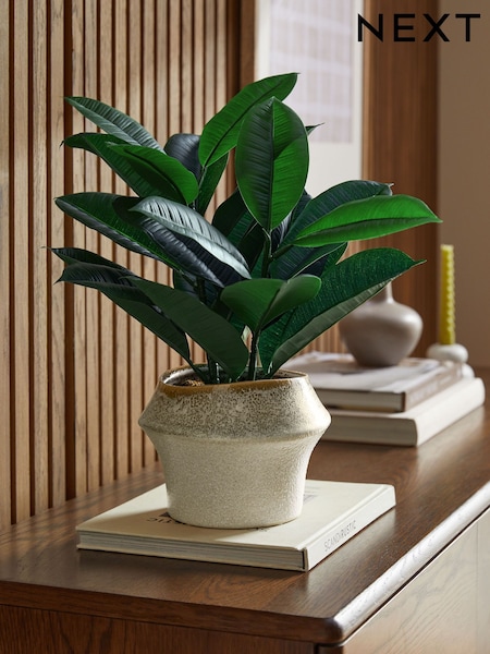 Green Artificial Rubber Plant in Ceramic Pot (E14530) | £0