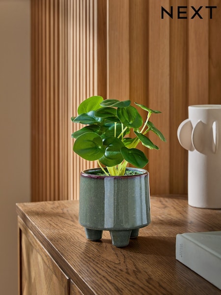 Green Artificial Money Tree Plant In Mini Ceramic Pot (E14537) | £0