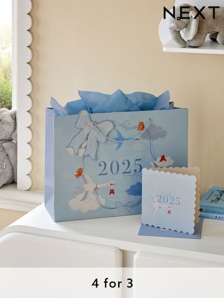 Blue Baby Boy Born In 2025 Gift Bag and Card Set (E14955) | £4
