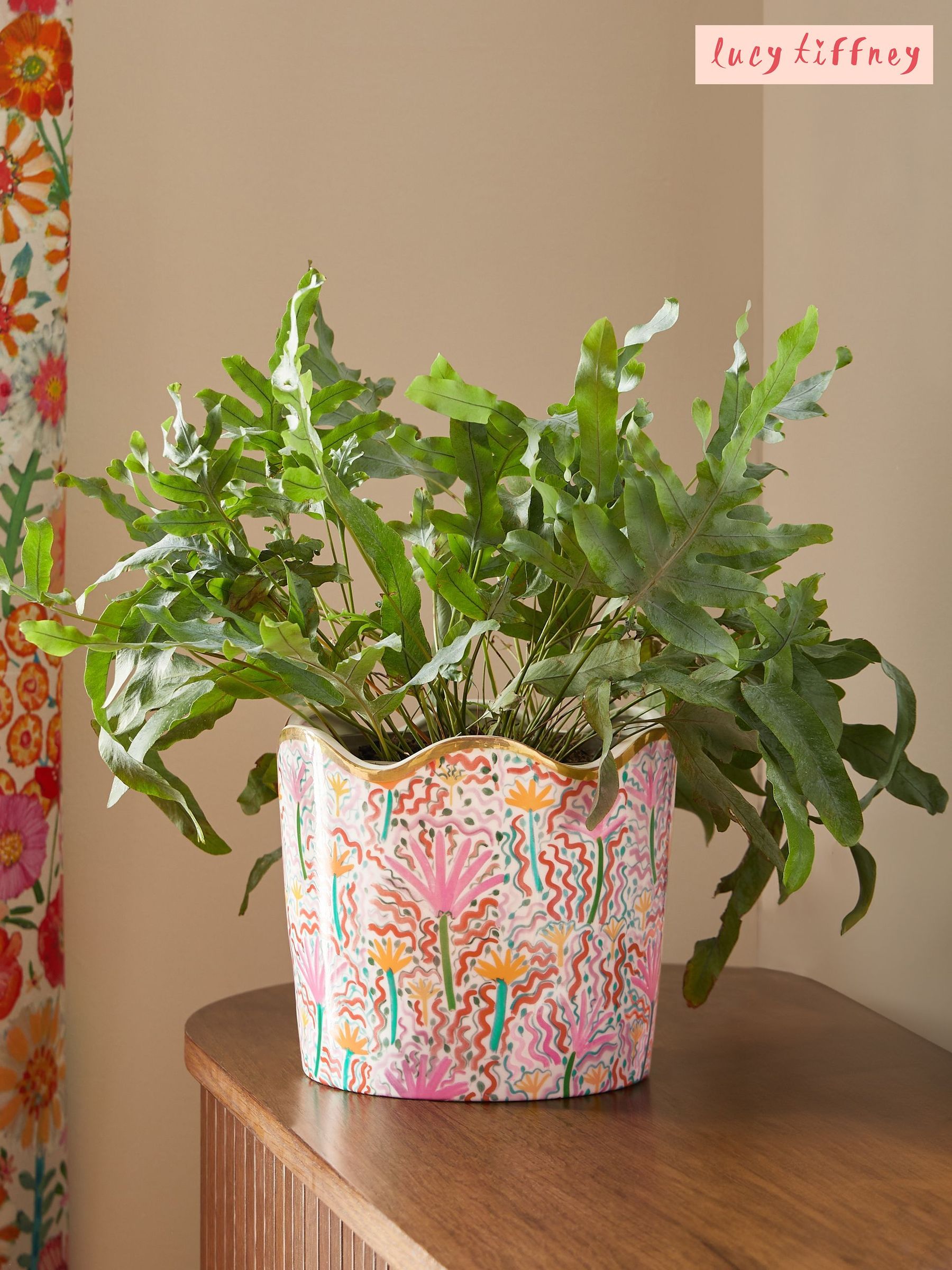 Plant Pots | Outdoor & Indoor Plant Pots | Next UK