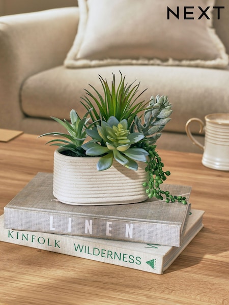 Green Artificial Succulent Arrangment In Ceramic Pot (E27051) | £0