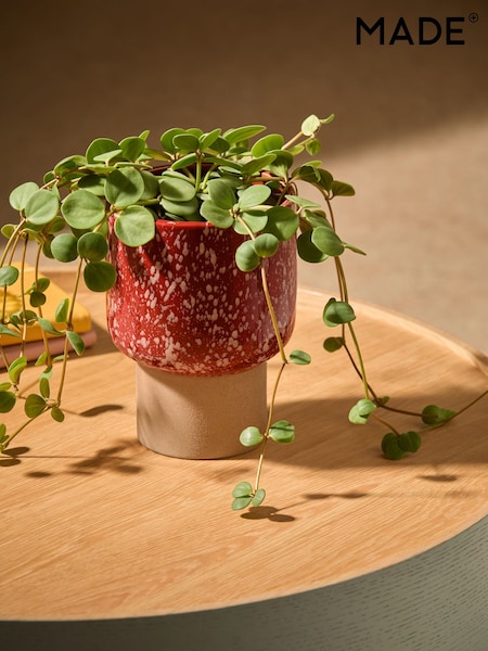MADE.COM Terracotta & White Santiago Hand Splatter Small Plant Pot (E30284) | £24