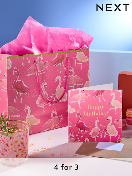 Pink Medium Flamingo Gift Bag and Card Set (E32457) | £3.75
