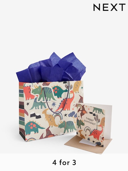 Green Medium Dinosaur Gift Bag and Card Set (E32461) | £3.75