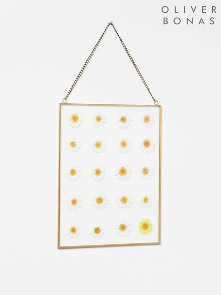 Oliver Bonas Gold Dried Flower Daisy Glass Wall Hanging (E35318) | £27