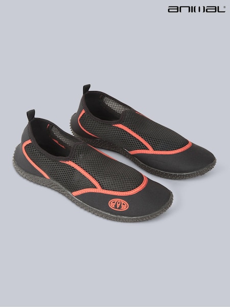 Animal Black Cove Aqua Shoes (E42621) | £28