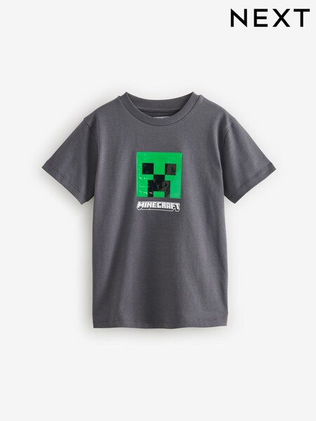 Grey Licensed Minecraft T-Shirt (3-16yrs) (E51083) | £6.50 - £8