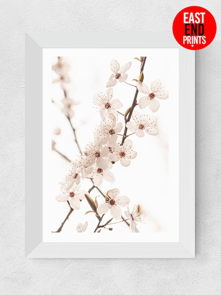 East End Prints White Blossom II Framed Art Print (E61559) | £50 - £130