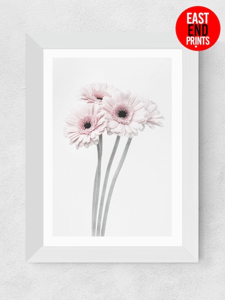 East End Prints White Gerbera Daisy Framed Art Print (E61560) | £50 - £130