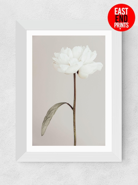 East End Prints White Peony Framed Art Print (E61569) | £50 - £130