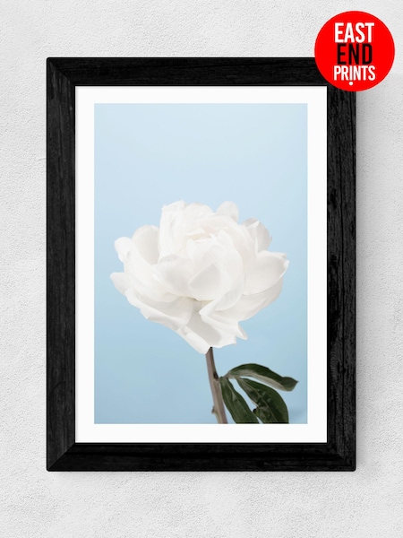 East End Prints Black Peony I Framed Art Print (E61592) | £50 - £130