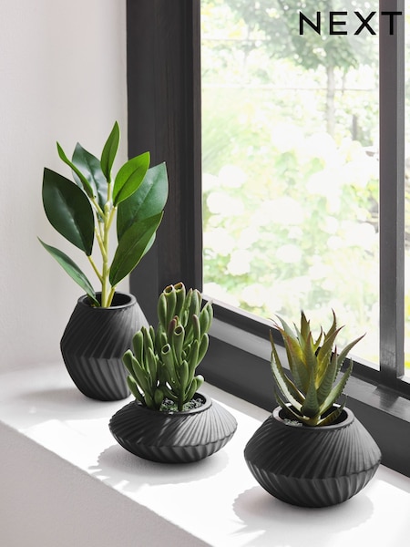 Set of 3 Green Artificial Succulents In Black Bronx Pots (E63442) | £30