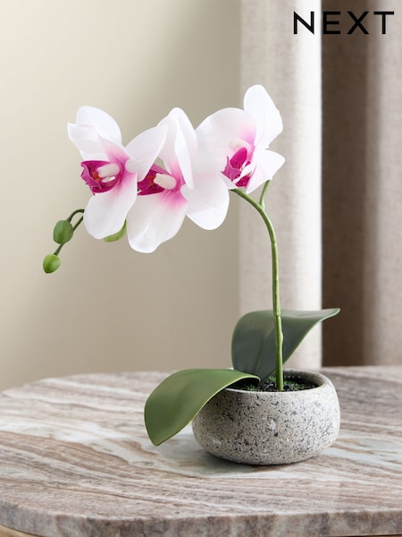 White/Pink Artificial Real Touch Mini Orchid In Stone Effect Pot (E63453) | £0