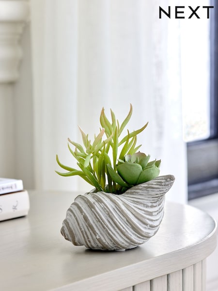 Green Artificial Succulent In A Grey Ceramic Shell (E63454) | £0
