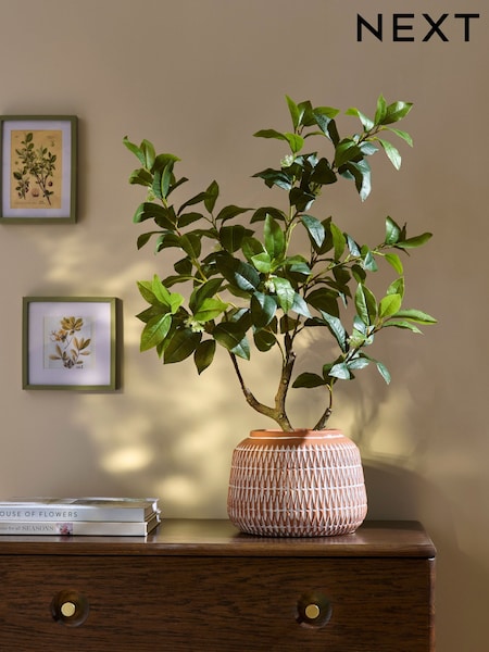 Green Artificial Tree in Terracotta Pot (E63467) | £75