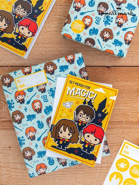 Hallmark Multi Harry Potter Gift Wrap, Card And Stickers Set 2 Pack (E65859) | £5