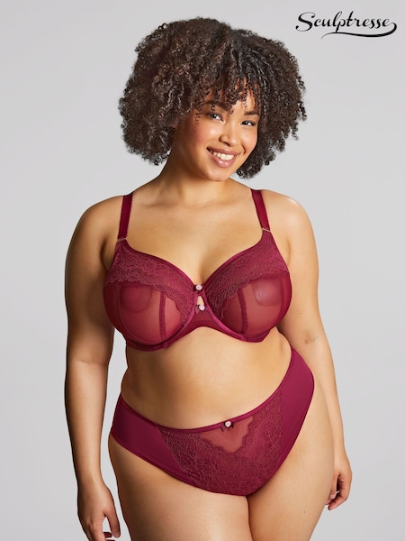 Panache Sculptresse Red Natalia High Leg Briefs (E67503) | £24