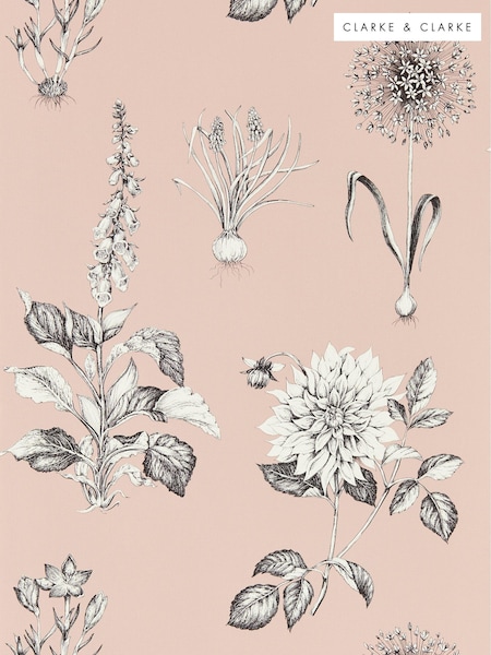 Clarke and Clarke Blush Roseraie Wallpaper Sample (E69449) | £1