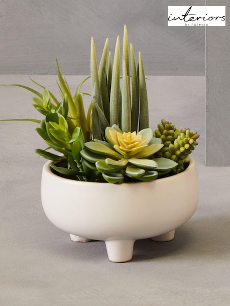 Interiors by Premier White Fiori Mixed Succulents In Large Ceramic Pots (E74603) | £65