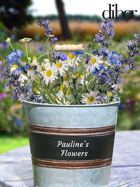 Rustic Metal Garden Tool Bucket by Dibor (E80064) | £18