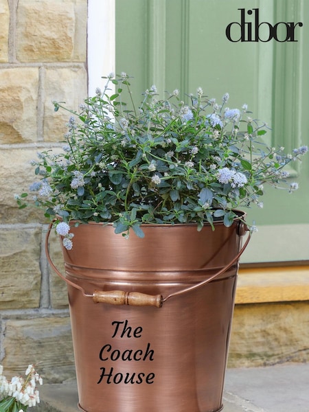 Copper Bucket Garden Planter by Dibor (E80069) | £32