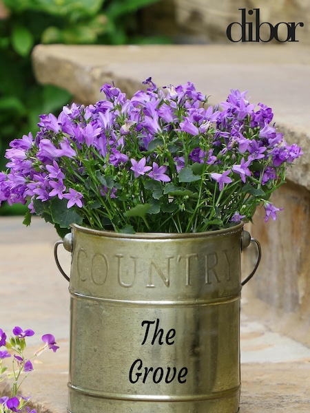 Vintage Metal Country Garden Planter by Dibor (E80070) | £15