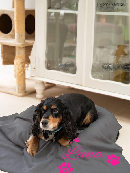 Personalised Fleece Pet Blanket by Jonny's Sister (E82078) | £26