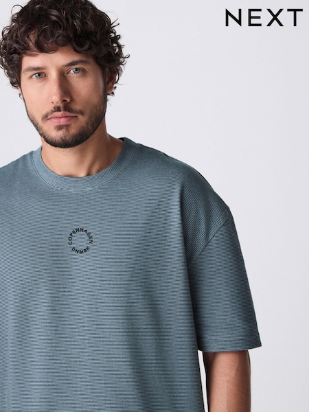 Blue Relaxed Fit Graphic Print Heavyweight Striped T-Shirt (E86475) | £18