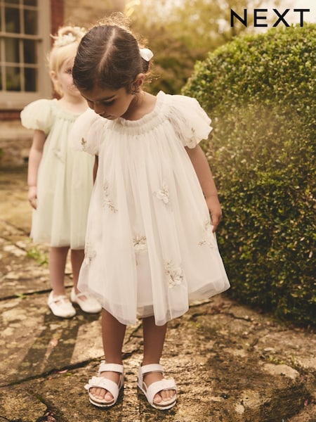 Ivory Butterfly Mesh Dress (3mths-8yrs) (E89857) | £23 - £29