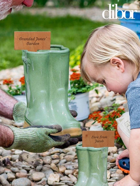 Green Plant Pot by Dibor (E94854) | £22
