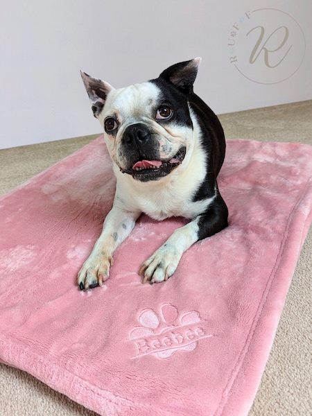 Personalised Pampered Pup Plush Blanket by RUFF (E96138) | £40