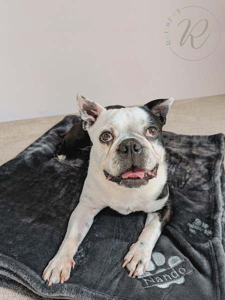 Personalised Pampered Pup Plush Blanket by RUFF (E96141) | £40