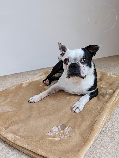 Personalised Pampered Pup Plush Blanket by RUFF (E96142) | £40