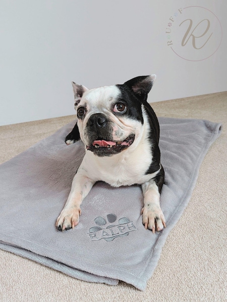Personalised Pampered Pup Plush Blanket by RUFF (E96143) | £40