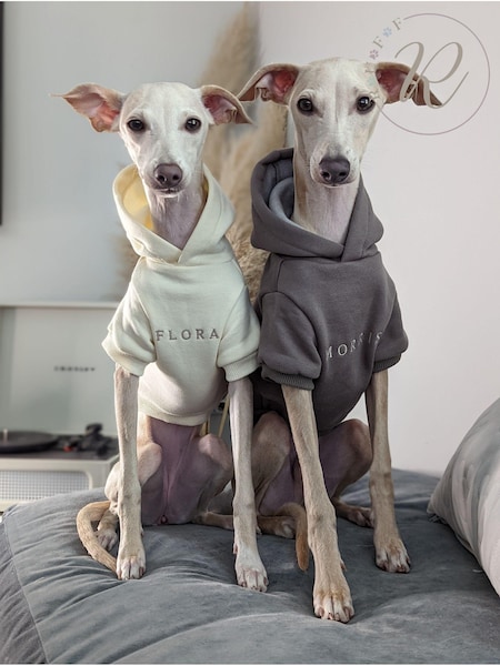 100% Cotton Personalised Luxury Dog Hoodie by RUFF (E96901) | £40
