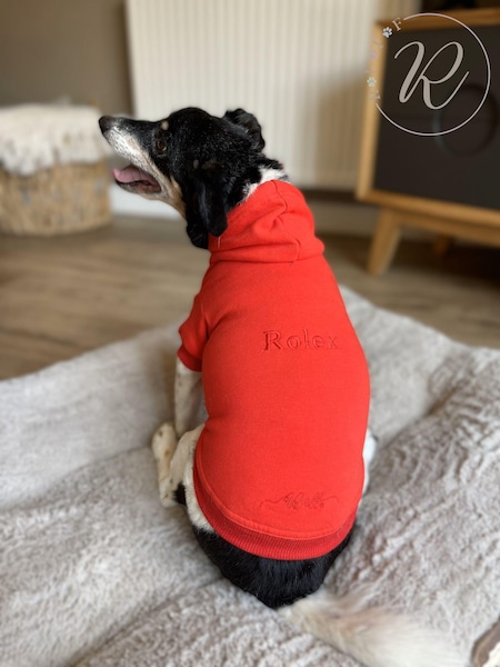 100% Cotton Personalised Luxury Dog Hoodie by RUFF (E96924) | £40