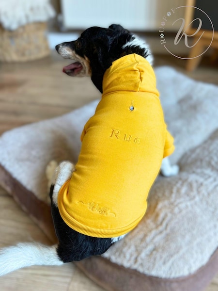 100% Cotton Personalised Luxury Dog Hoodie by RUFF (E97114) | £40