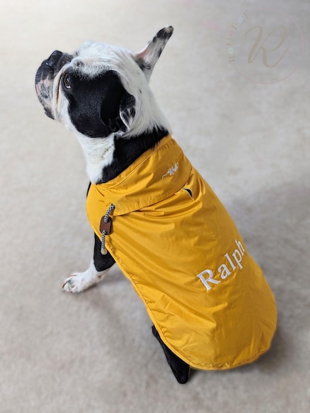 Personalised RainPaws Coat by RUFF (E97118) | £44