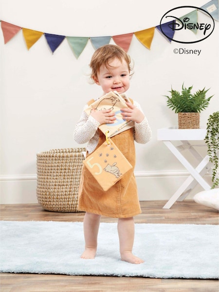 Disney Winnie the Pooh Soft Play and Go Squares Set (E98989) | £12