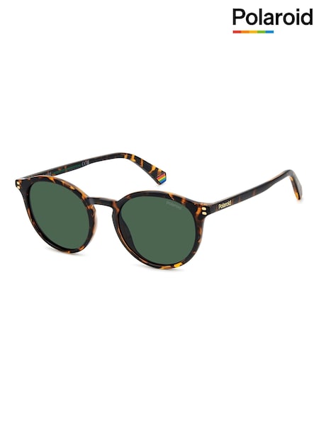 Polaroid Havanas Panthos Brown Sunglasses (F01440) | £50