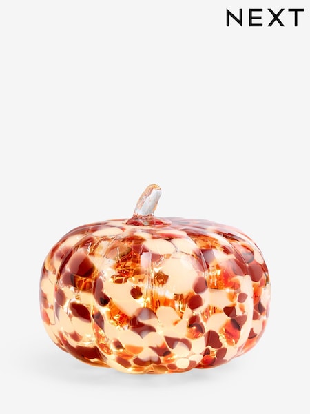 Berry Pink Pumpkin Feature Light (F01962) | £28
