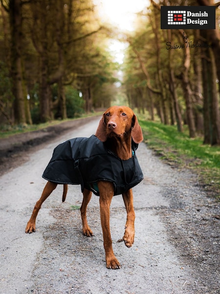 Danish Designs Black Harness 2 in 1 Ultimate Dog Coat (F02471) | £28 - £42