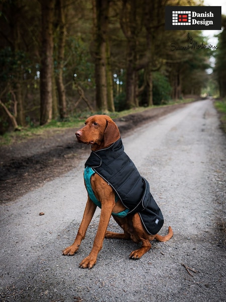 Danish Designs Black Harness Dog Coat (F02472) | £27 - £40