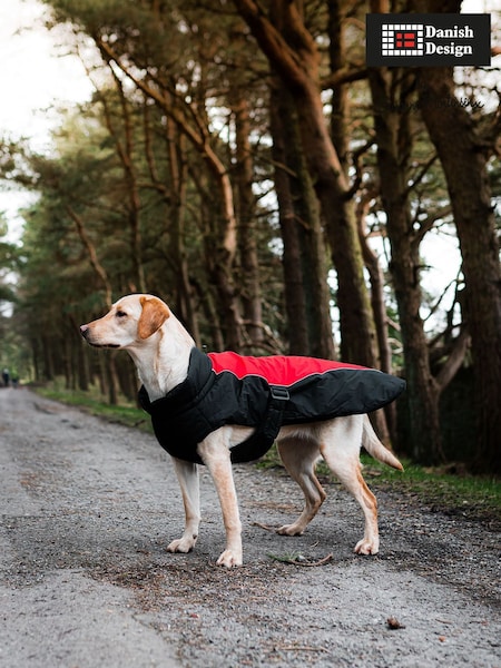 Danish Designs Red Sports Luxe Dog Coat (F02480) | £28 - £42