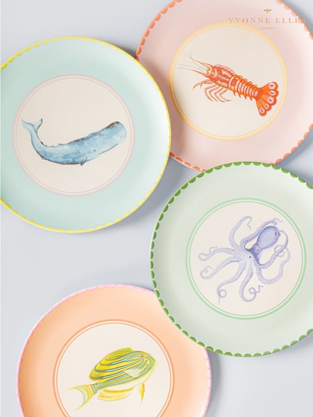 Yvonne Ellen Set of 4 Multi Melamine Picnic Dinner Plates (F04533) | £28