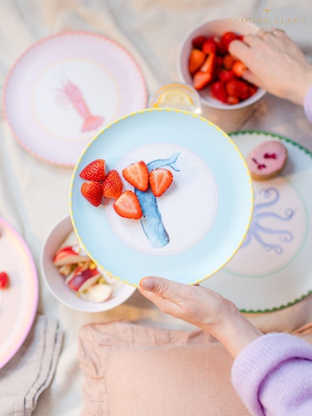 Yvonne Ellen Set of 4 Multi Melamine Picnic Side Plates (F04546) | £25